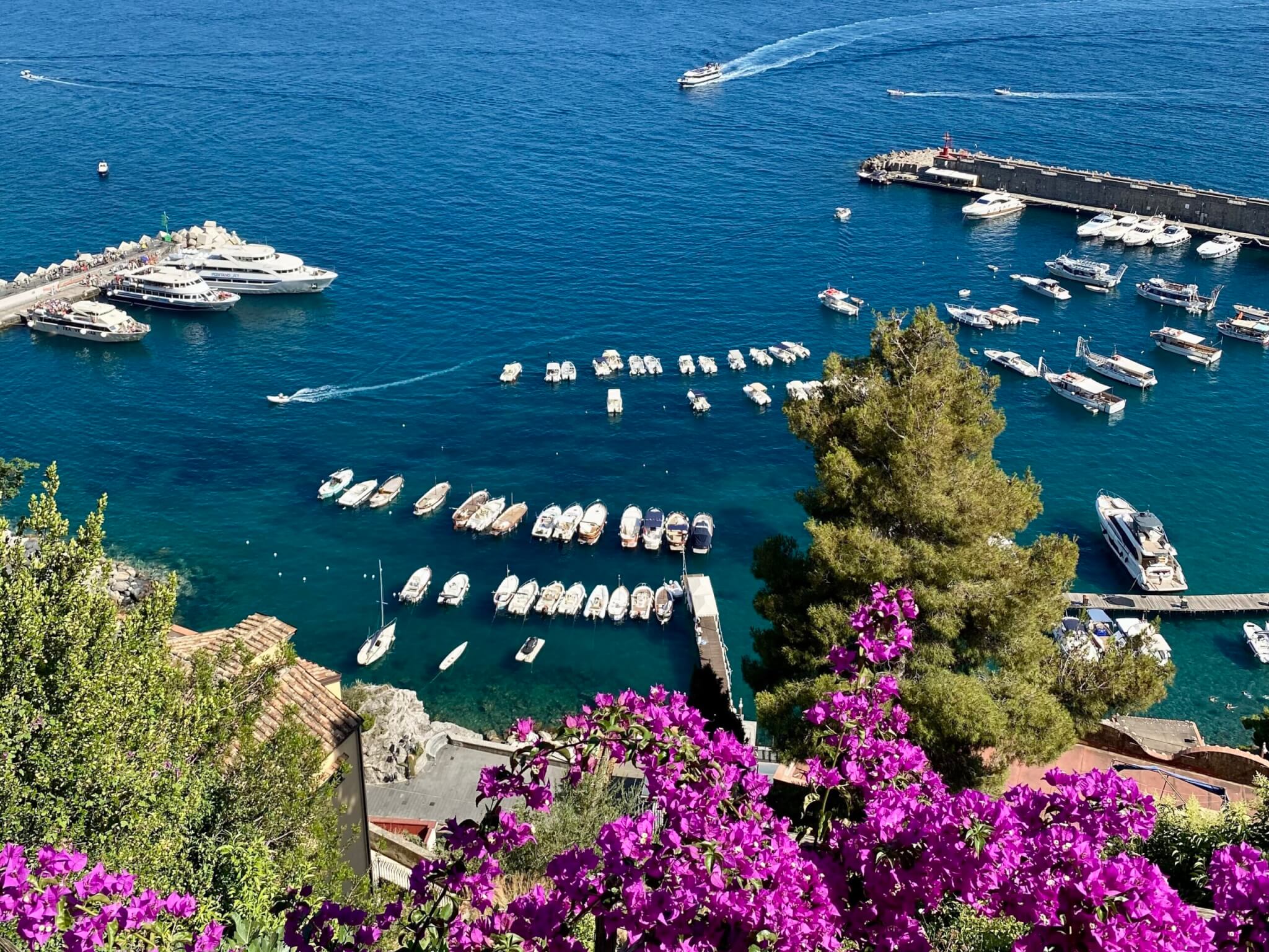 coastal scene in Italy with yachts and bougainvilleain Italy